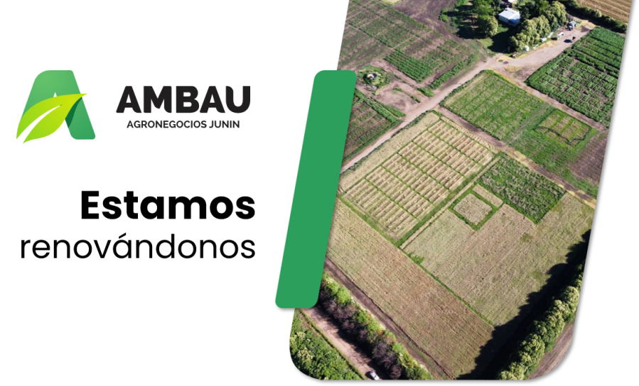 Logo AMBAU Desktop